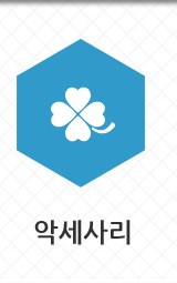 악세사리